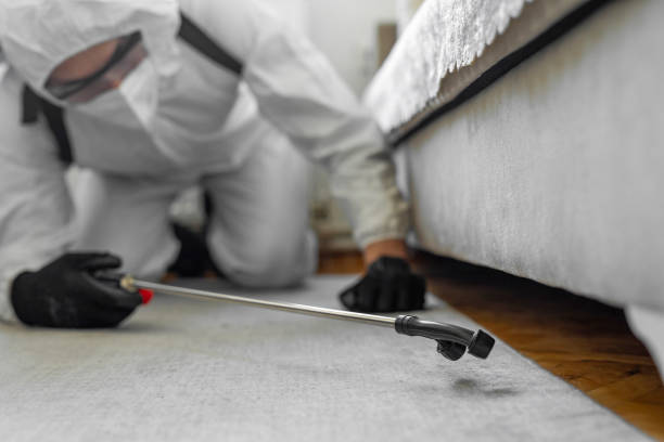 Professional Pest Control technician working in Boone County County, IL
